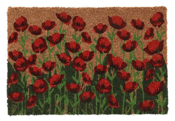 Wycieraczka z włókna kokosowego 40x60 cm – Esschert Design