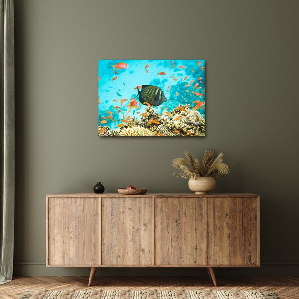 Obraz podwodnego świata (70x50 cm)
