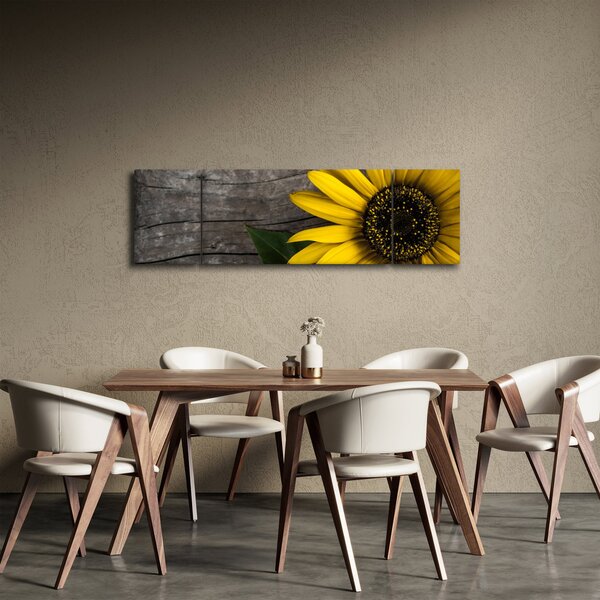 Obraz - Kwiat słonecznika (170x50 cm)