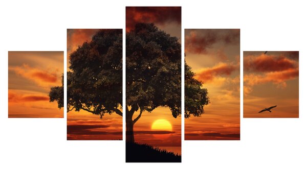 Obraz drzewa o zachodzie słońca (125x70 cm)