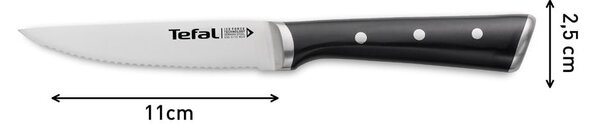 Zestaw noży ze stali nierdzewnej do steków 4 szt. Ice Force – Tefal