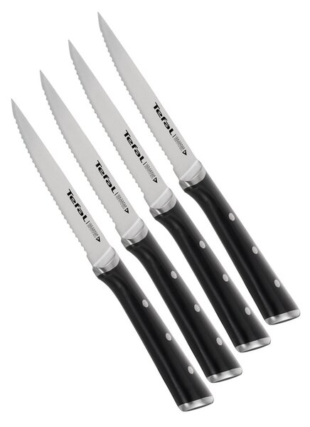 Zestaw noży ze stali nierdzewnej do steków 4 szt. Ice Force – Tefal