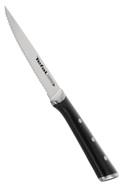 Zestaw noży ze stali nierdzewnej do steków 4 szt. Ice Force – Tefal
