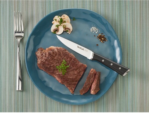 Zestaw noży ze stali nierdzewnej do steków 4 szt. Ice Force – Tefal