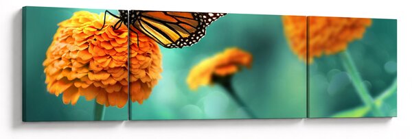 Obraz motyla (170x50 cm)