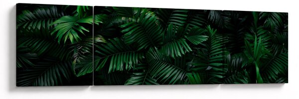 Obraz - Paprocie tropikalne (170x50 cm)