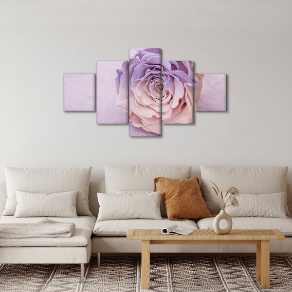 Obraz szczegółu kwiatu róży (125x70 cm)