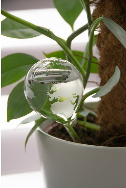 Szklana kula nawadniająca 175 ml Globe – Esschert Design