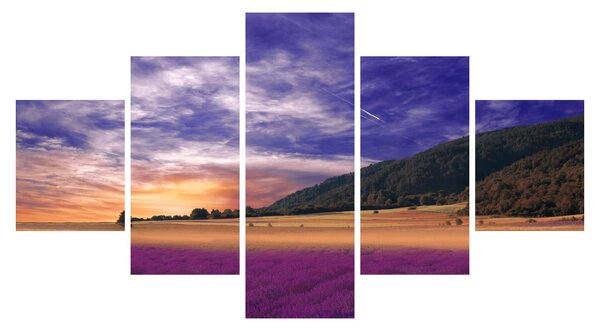 Obraz lawendowej łąki (125x70 cm)