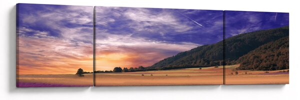 Obraz lawendowej łąki (170x50 cm)
