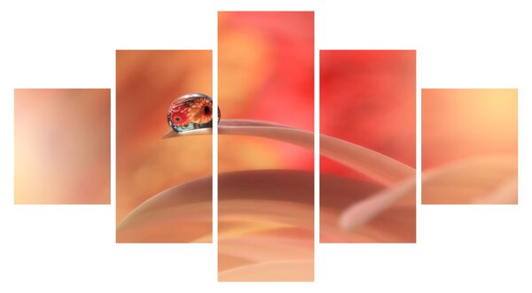 Obraz kwiecistej kropli rosy (125x70 cm)
