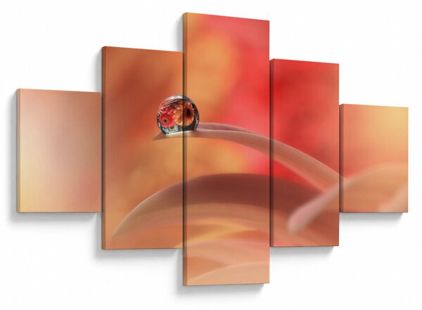 Obraz kwiecistej kropli rosy (125x70 cm)