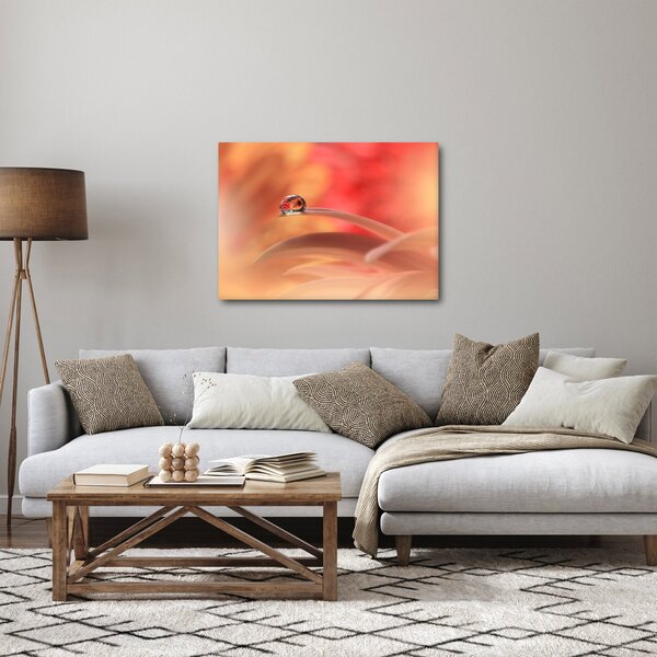 Obraz kwiecistej kropli rosy (70x50 cm)