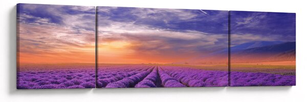 Obraz lawendowego pola (170x50 cm)