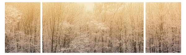 Obraz mroźnego lasu (170x50 cm)