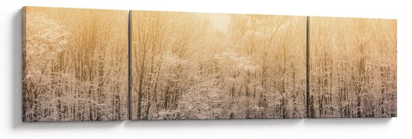 Obraz mroźnego lasu (170x50 cm)