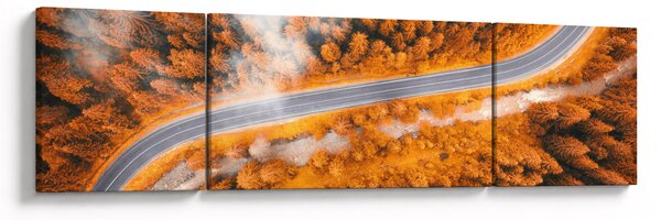 Obraz - Górska droga (170x50 cm)