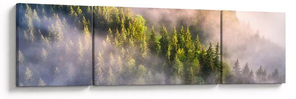 Obraz górskiego krajobrazu (170x50 cm)