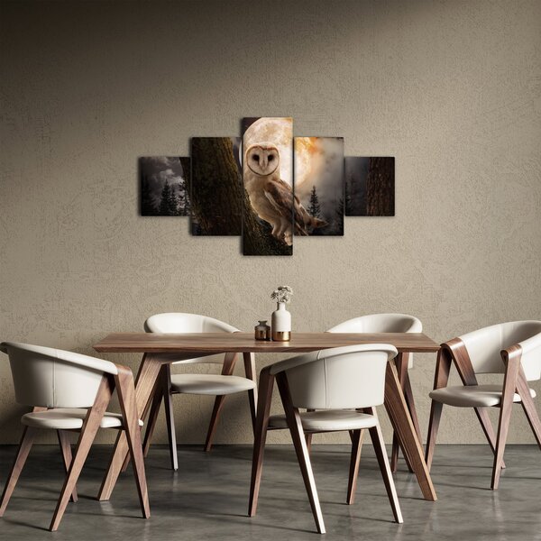 Obraz sowy palonej (125x70 cm)