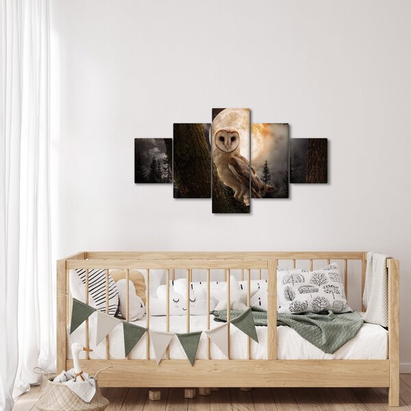 Obraz sowy palonej (125x70 cm)