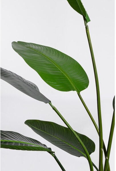 Sztuczny kwiat (wysokość 185 cm) Sterilizia – Bizzotto