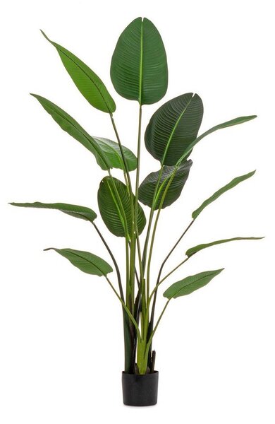 Sztuczny kwiat (wysokość 185 cm) Sterilizia – Bizzotto