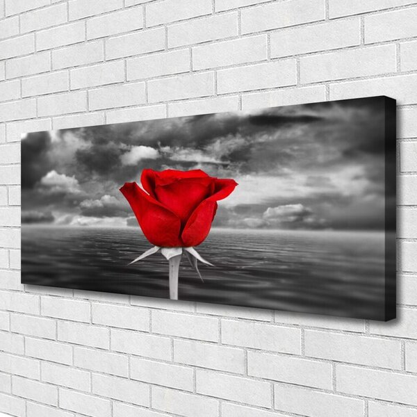 Obraz na płótnie Dzika Róża nad Brzegiem Morza