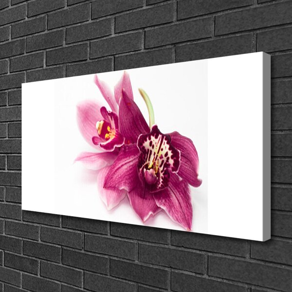 Obraz canvas Wykwintny Ogród Botaniczny