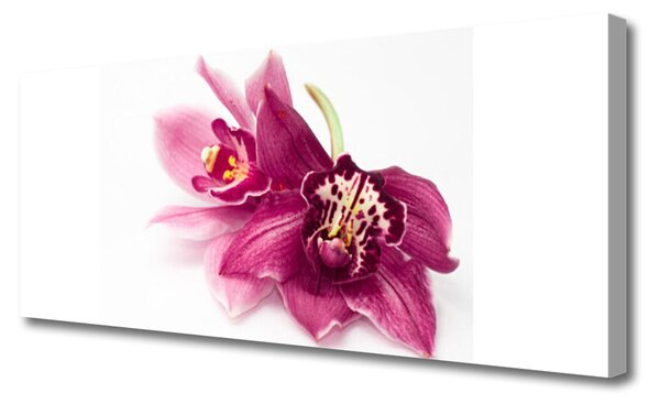 Obraz canvas Wykwintny Ogród Botaniczny