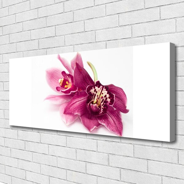 Obraz canvas Wykwintny Ogród Botaniczny