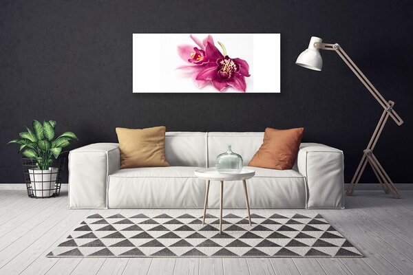 Obraz canvas Wykwintny Ogród Botaniczny