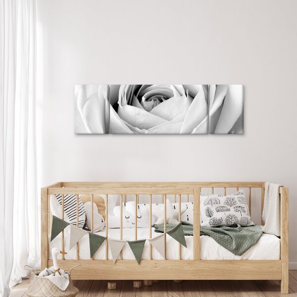 Obraz - Detal kwiatu róży (170x50 cm)