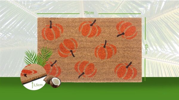 Wycieraczka 45x75 cm Mix Mats – Hanse Home