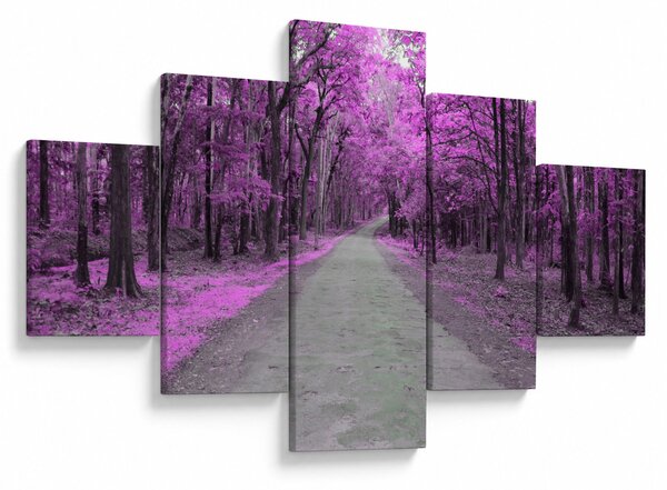 Obraz - Ścieżka przez park (125x70 cm)