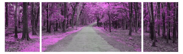 Obraz - Ścieżka przez park (170x50 cm)