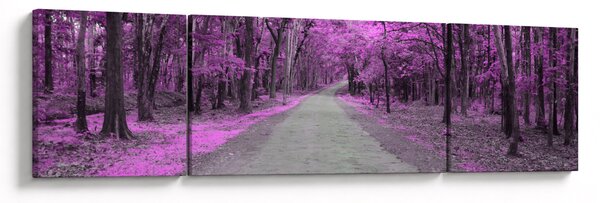 Obraz - Ścieżka przez park (170x50 cm)