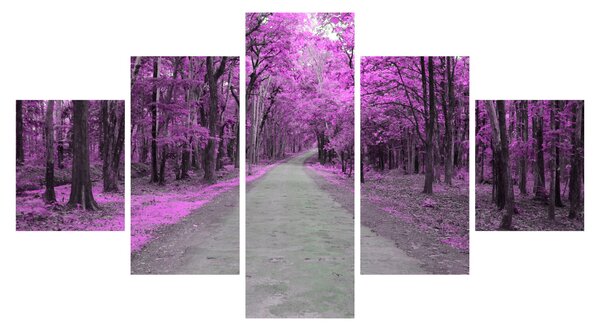 Obraz - Ścieżka przez park (125x70 cm)
