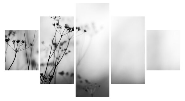 Obraz - Detal kwiatów polnych (125x70 cm)