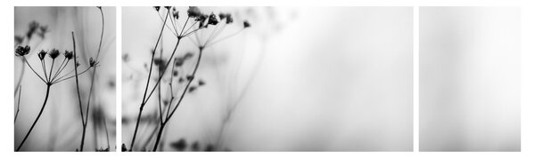 Obraz - Detal kwiatów polnych (170x50 cm)