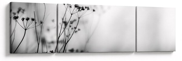 Obraz - Detal kwiatów polnych (170x50 cm)