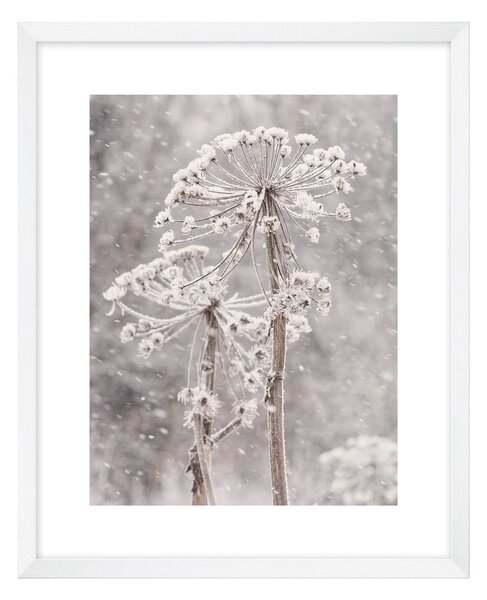 Obraz 40x50 cm Snow – knor