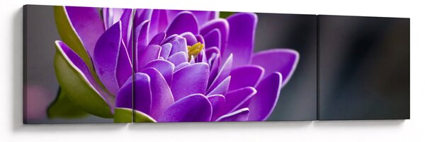 Obraz kwiatu (170x50 cm)