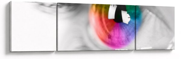 Obraz - Irys (170x50 cm)