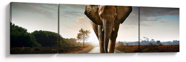 Obraz słonia (170x50 cm)