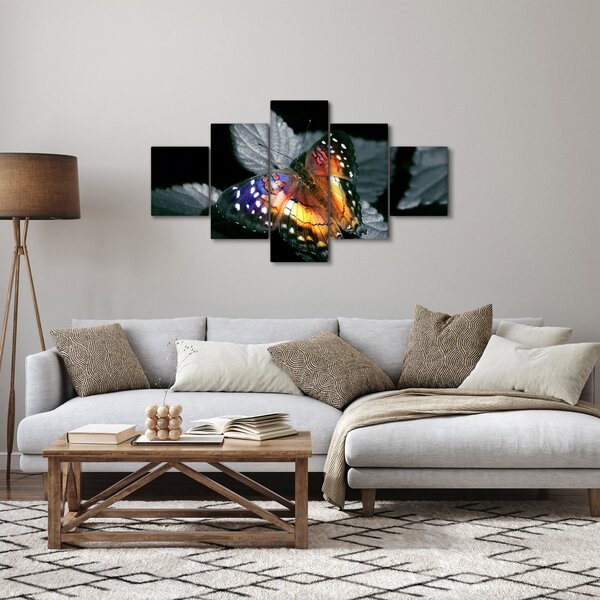 Obraz motyla (125x70 cm)