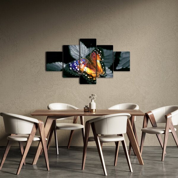 Obraz motyla (125x70 cm)