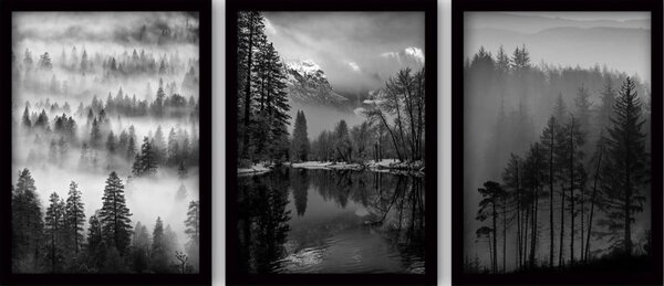 Obrazy zestaw 3 szt. 35x45 cm Black & White – Wallity