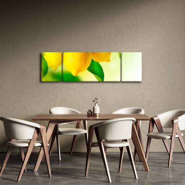 Obraz cytryn (170x50 cm)