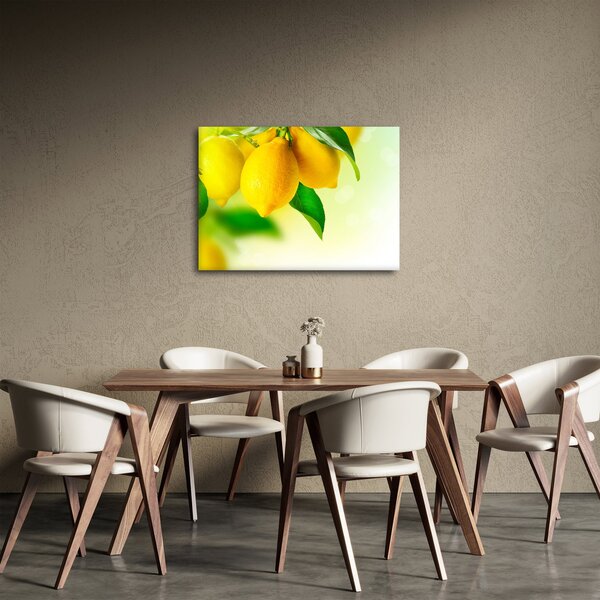 Obraz cytryn (70x50 cm)