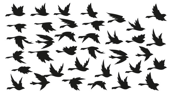 Naklejka Fanastick Birds in Flight